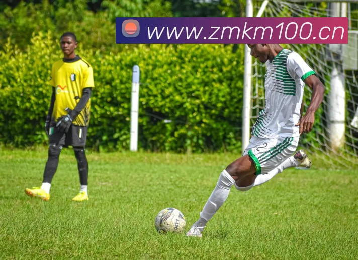 App Interface Preview